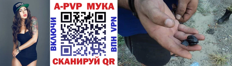Альфа ПВП СК КРИС Тосно