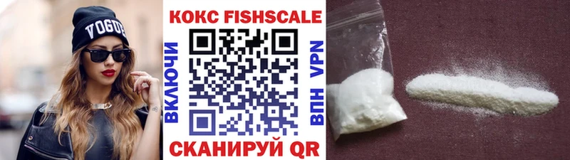 Cocaine Fish Scale  MEGA tor  Тосно 