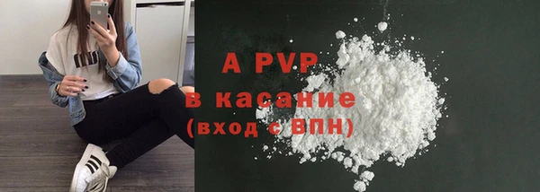 прущие грибы Бронницы