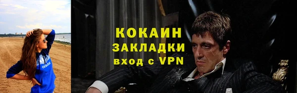 прущие грибы Бронницы