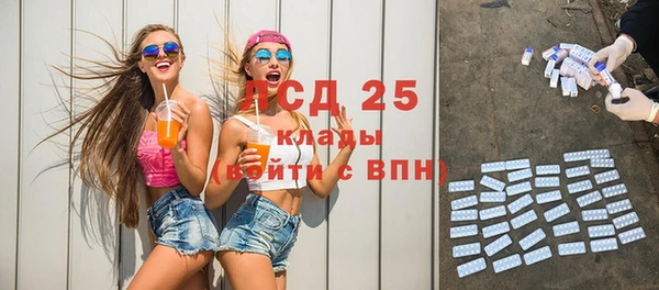 прущие грибы Бронницы