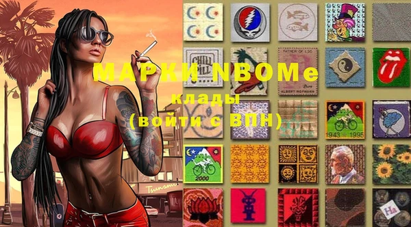 прущие грибы Бронницы
