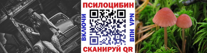 Псилоцибиновые грибы MAGIC MUSHROOMS цена наркотик Тосно